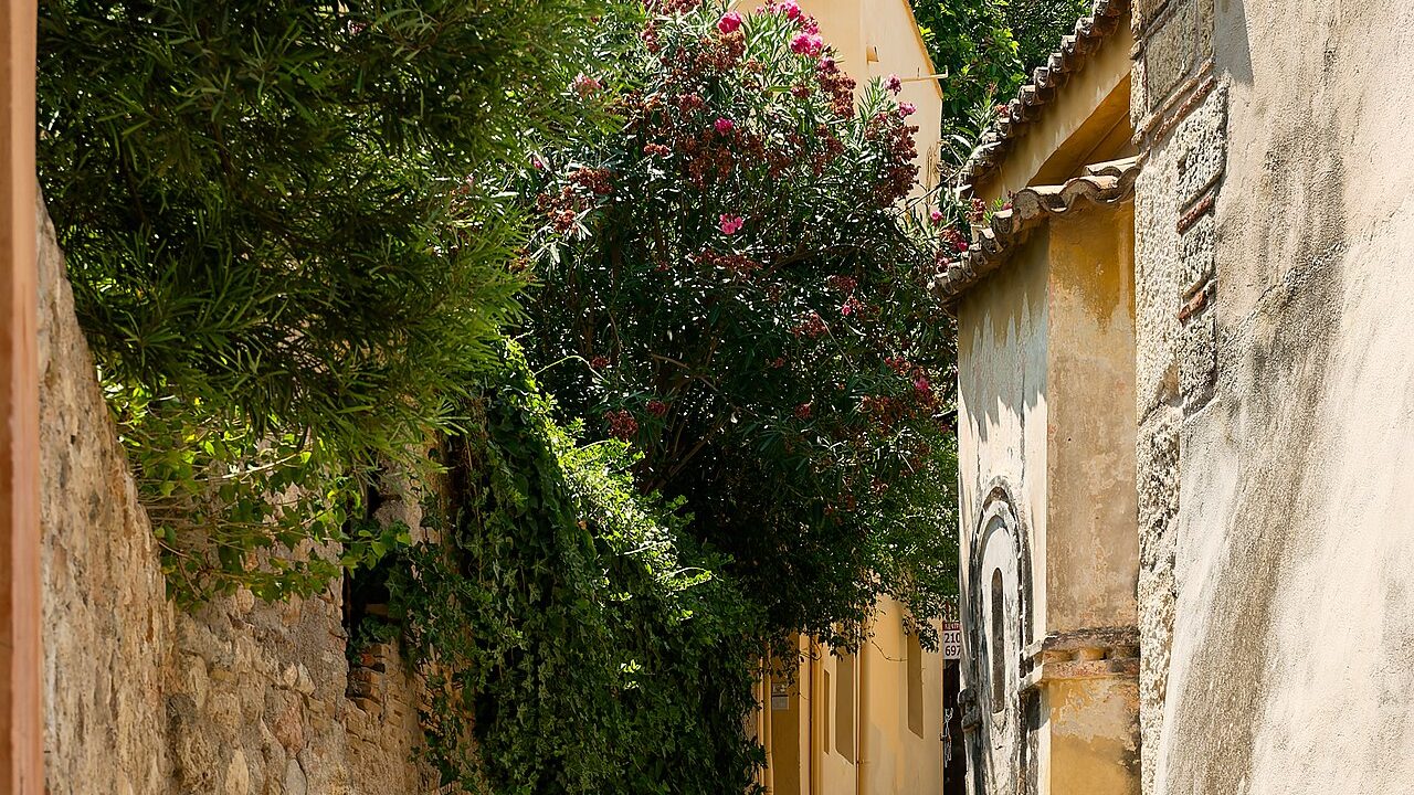 A quiet flower-lined lane in Plaka, Athens