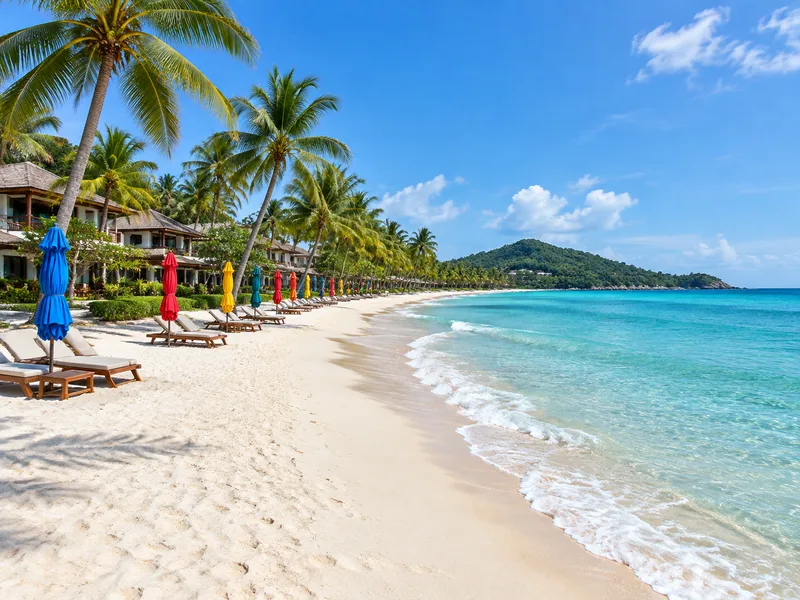 A long white sand beach lined with palms