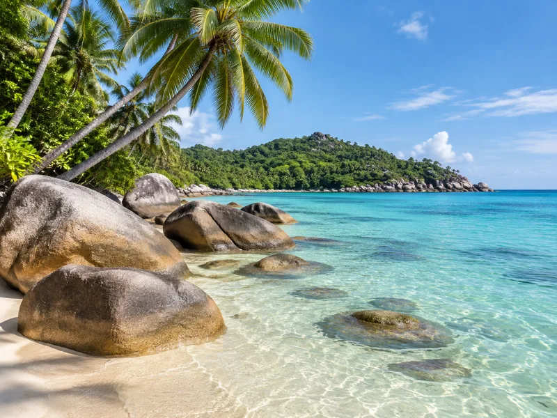 Granite boulders and palms on a tropical shoreline