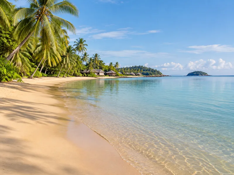 A quiet palm-fringed beach with calm shallow water