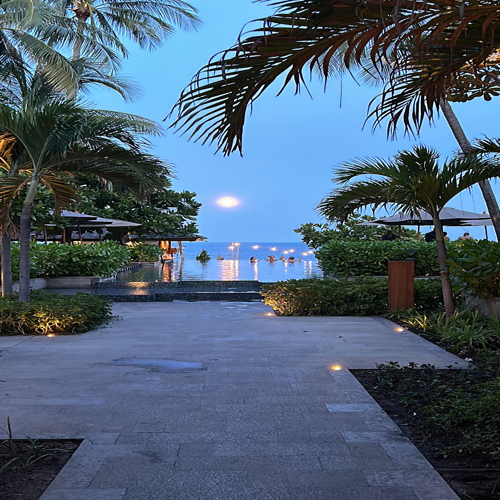 Palm-framed walkway leading to an infinity pool and the sea under a full moon